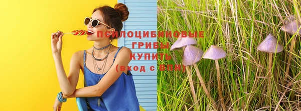 a pvp Абдулино